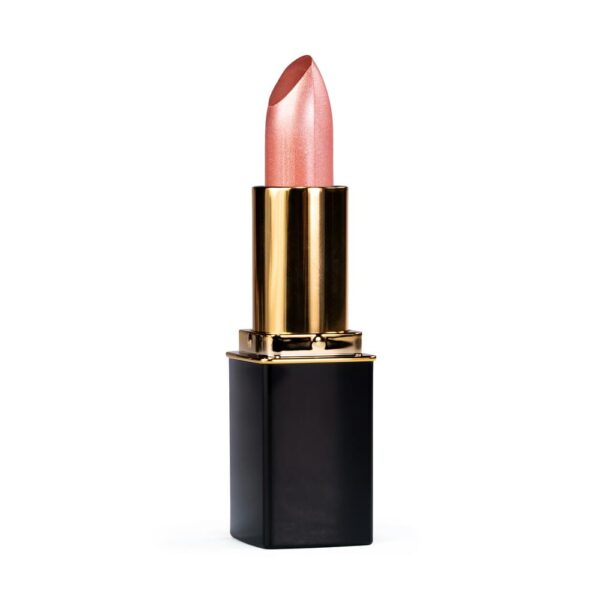 L'Paige Lipstick #56